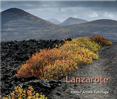 Lanzarote: liburu azala